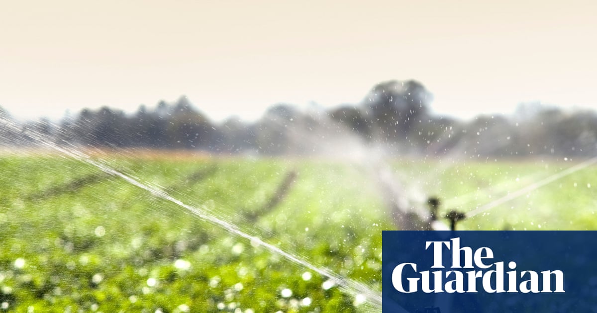 Prioritizing Food Systems: A Call to Arms During British Science Week