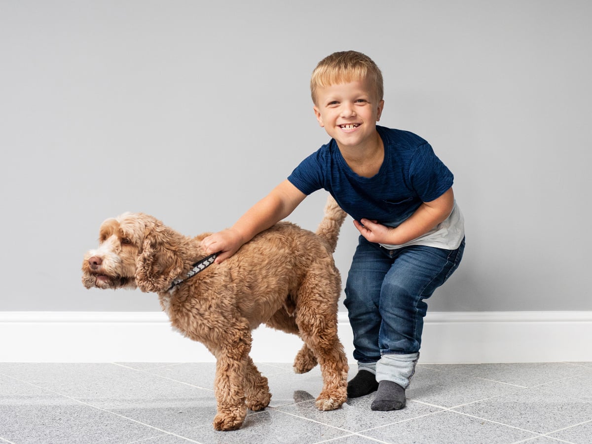 There Is A Fear That This Will Eradicate Dwarfism': The Controversy Over A  New Growth Drug | Medical Research | The Guardian