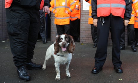 A sniffer dog searching for ‘pyros’ outside West Bromwich Albion’s Hawthorns stadium.
