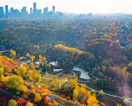 Veduta aerea del quartiere di Rosedale