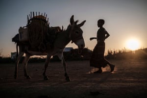 A boy walks towards a donkey at El Gel