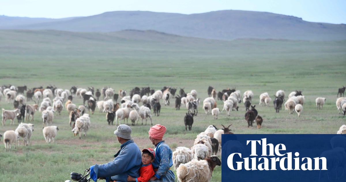 Greener pasture of a shepherd’s life lures Chinese workers penned in by ‘996’ jobs