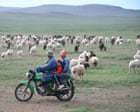 Greener pasture of a shepherd’s life lures Chinese workers penned in by ‘996’ jobs | Ξένα νέα στο LivePress.gr