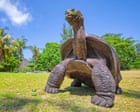 Researchers find 180,000 giant tortoises living on island in Seychelles