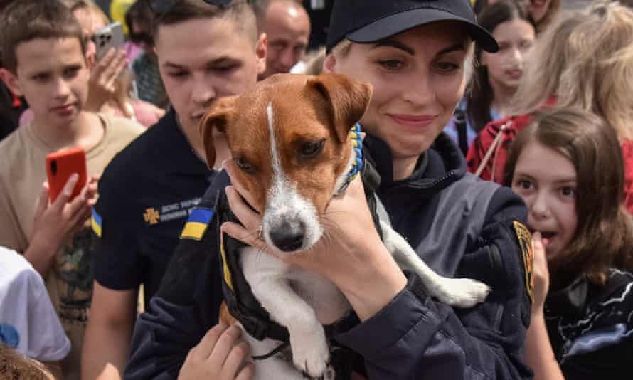 A dog named Patron (meaning cartridge in Ukrainian) trained to search for explosives at the celebration of Children’s Day in Lviv, Ukraine.