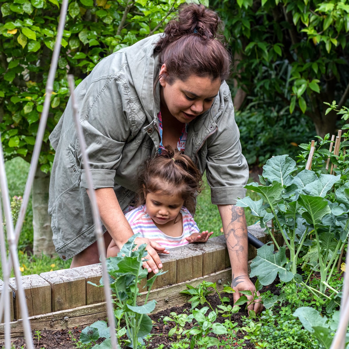 Companion Gardening Edibles Are All The Rage But They Re Not The Only Useful Plants Life And Style The Guardian