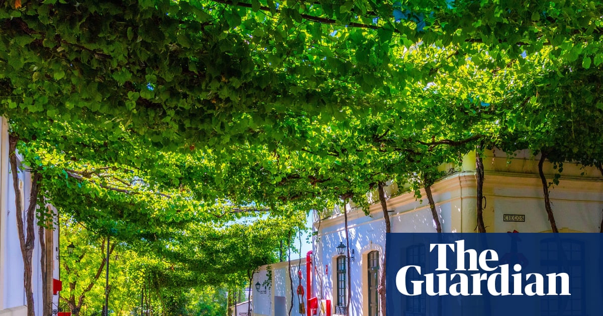 A perfect symbiosis': planting vines and other ways hot cities are creating cool spaces