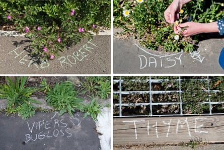 Chalkers say their work encourages connection with the natural world around us.