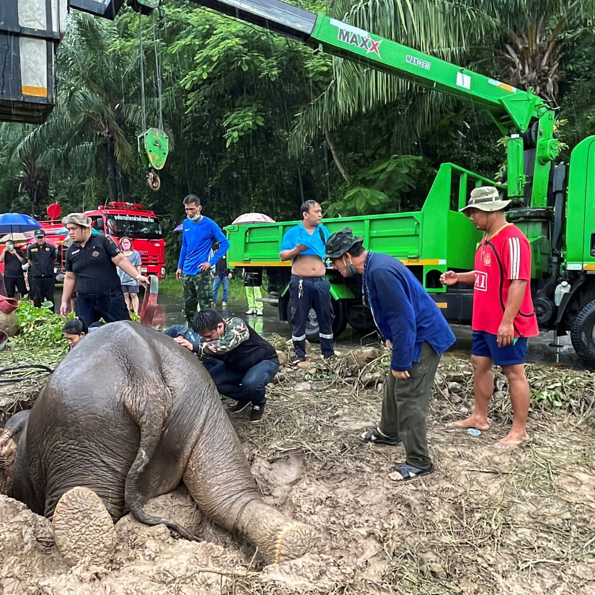 Elephant and baby saved in dramatic rescue from manhole in Thailand | Thailand | The Guardian