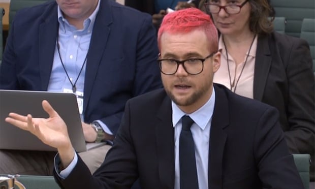 Christopher Wylie at select committee 