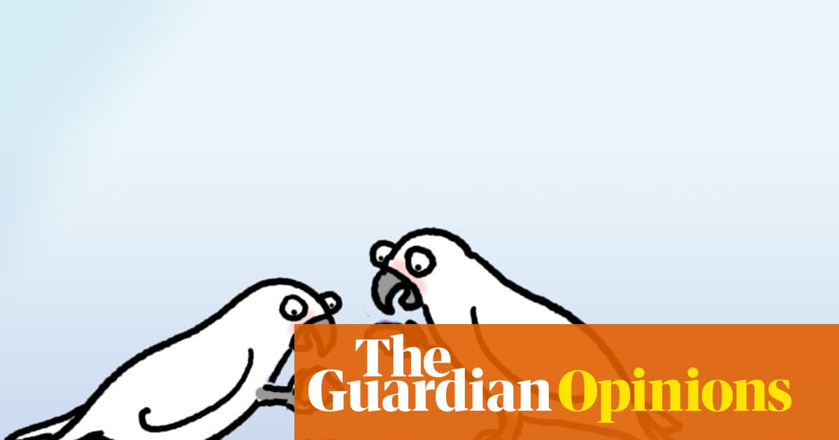 Everyone loves dunking morsels of food in dips – and it turns out so do cockatoos | First Dog on the Moon Everyone loves dunking morsels of food in dips – and it turns out so do cockatoos | First Dog on the Moon