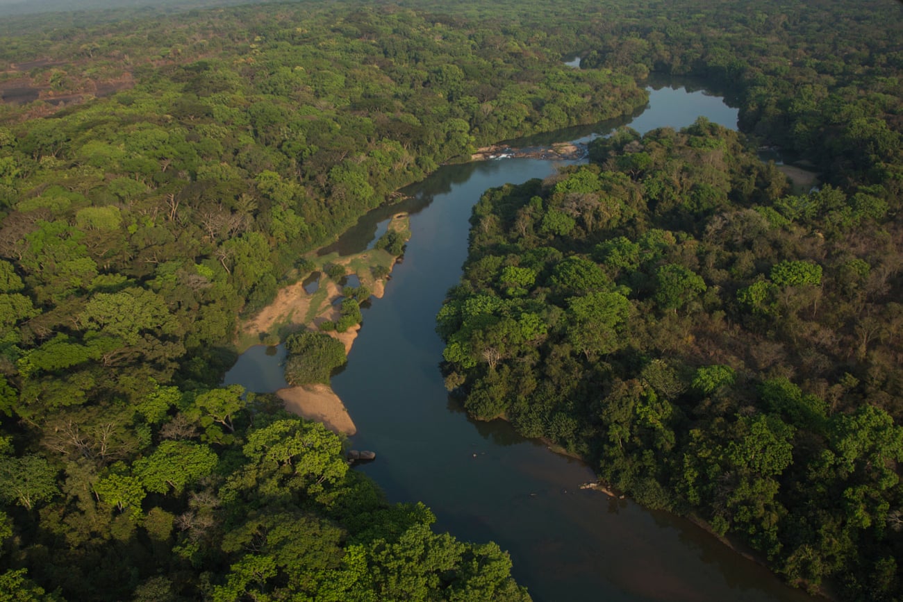 The Chinko reserve in the Central African Republic is almost twice the size of Yellowstone national park in the US.