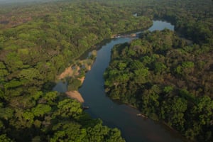 Persuasive Essay Paper The Chinko Reserve In The Central African Republic Is Almost Twice The Size Of Yellowstone National Examples Of Good Essays In English also Essay About Healthy Lifestyle On Patrol With The Wildlife Rangers Of Chinko Photo Essay How To Write A Business Essay