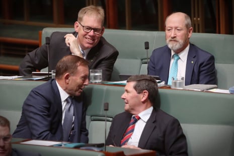 Tony Abbott on the back benches