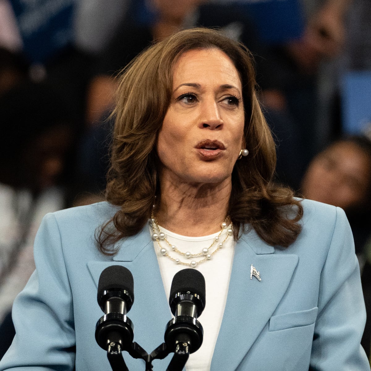 Key Black Muslim group backs Kamala Harris for president over Gaza stance | Kamala Harris | The Guardian