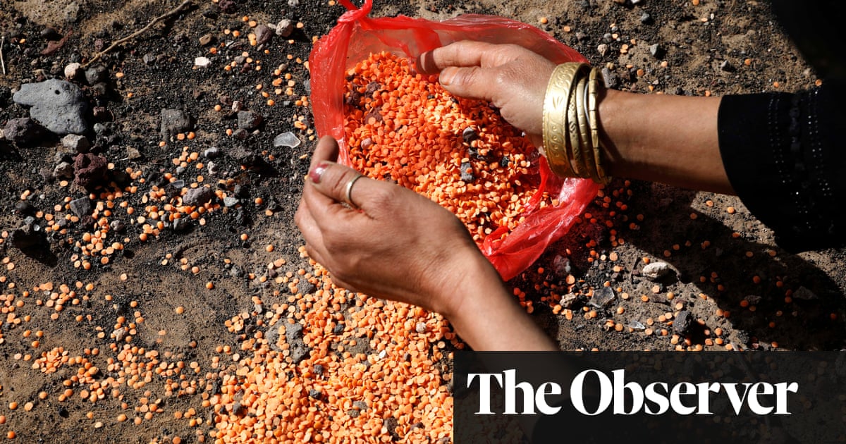 Britain slashes humanitarian aid by 51% despite global food crisis