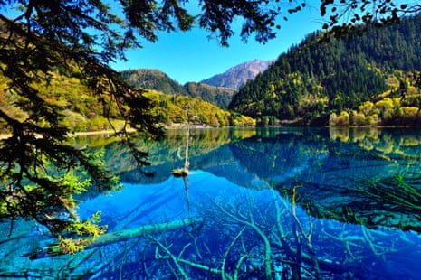 Lake in Jiuzhaigou national park, Sichuan province, China.
