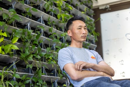 A man in a grey t-shirt sits in front of a wall of plants.