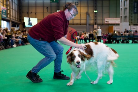 Rhett, and Brenda are delighted with his first place in the Good Citizens class, Irish red and white setters