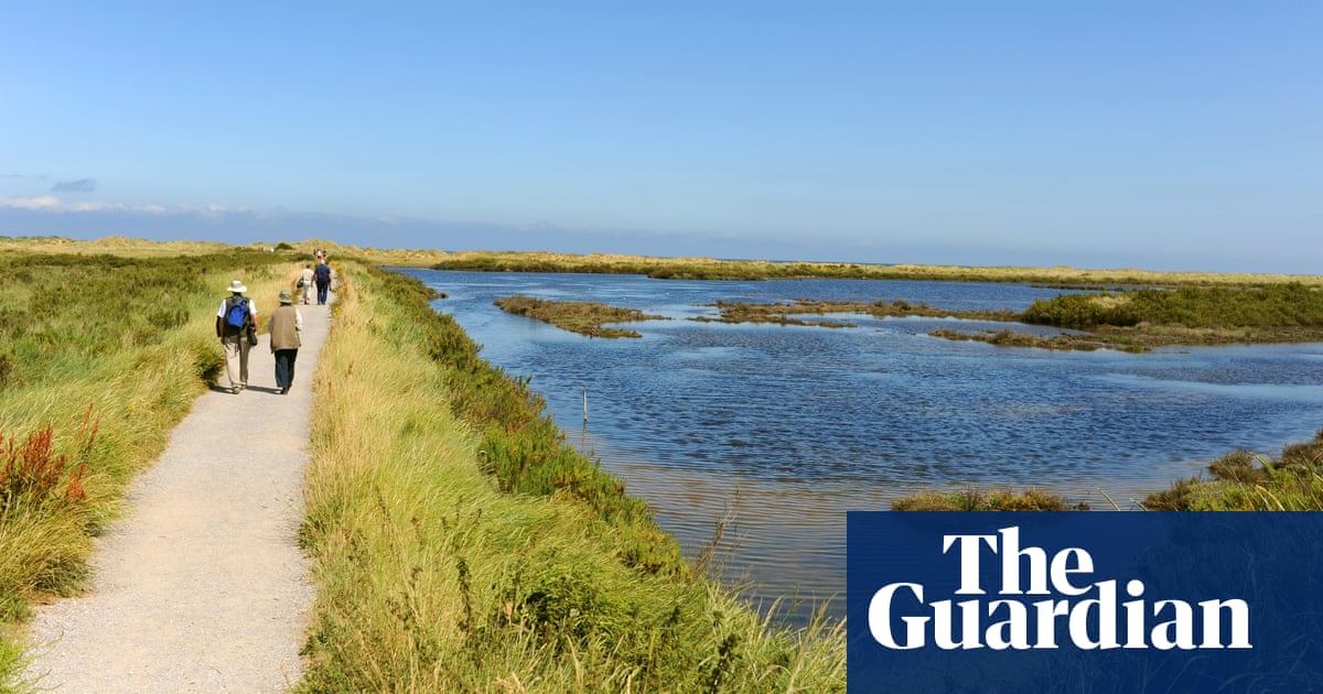 ‘Once in a generation’ scheme to restore nature in 22 areas across England - The Guardian
