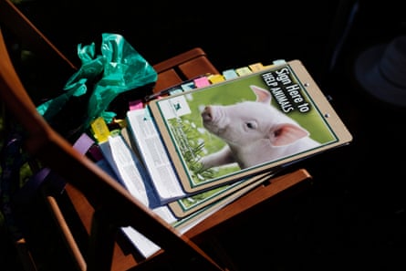 Prevent Cruelty California petitions and leaflets.