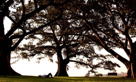 Forty winks under fig trees at Sydney’s Observatory Hill. Photograph: David Gray/Reuters