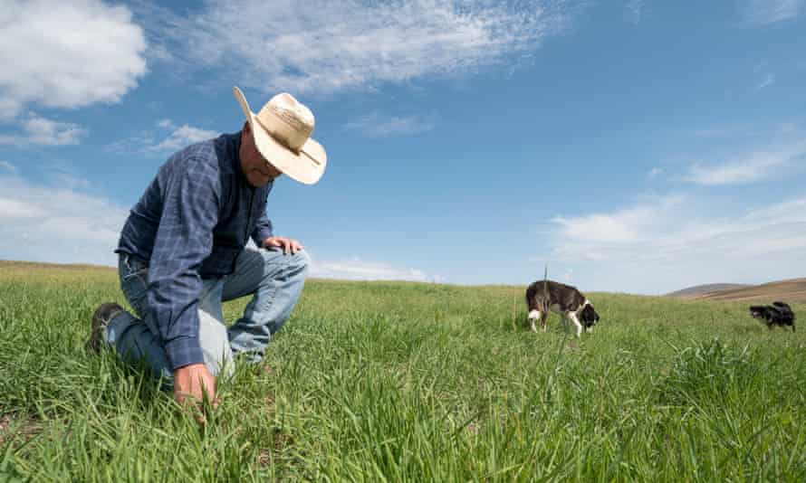Rancher Dan Probert inspecting grass conditions on the Zumwalt Prairie in Northeast Oregon.