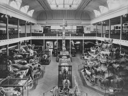 A huge hall filled with stuffed animals