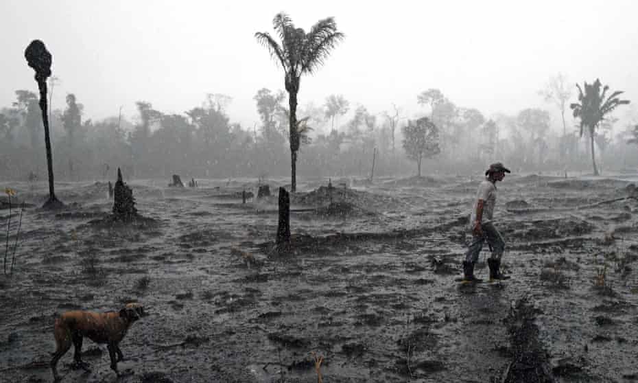 A farmer and his dog in a burnt region of the Amazon rainforest in Rondônia state, Brazil.