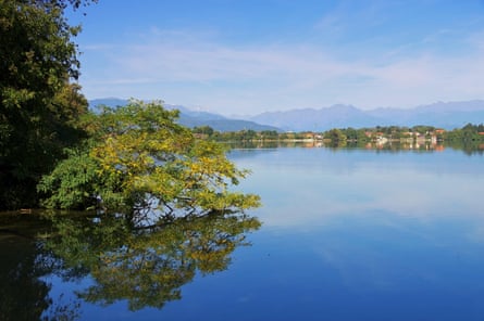 Blue lake and distant mountains with tree overhanging the water
