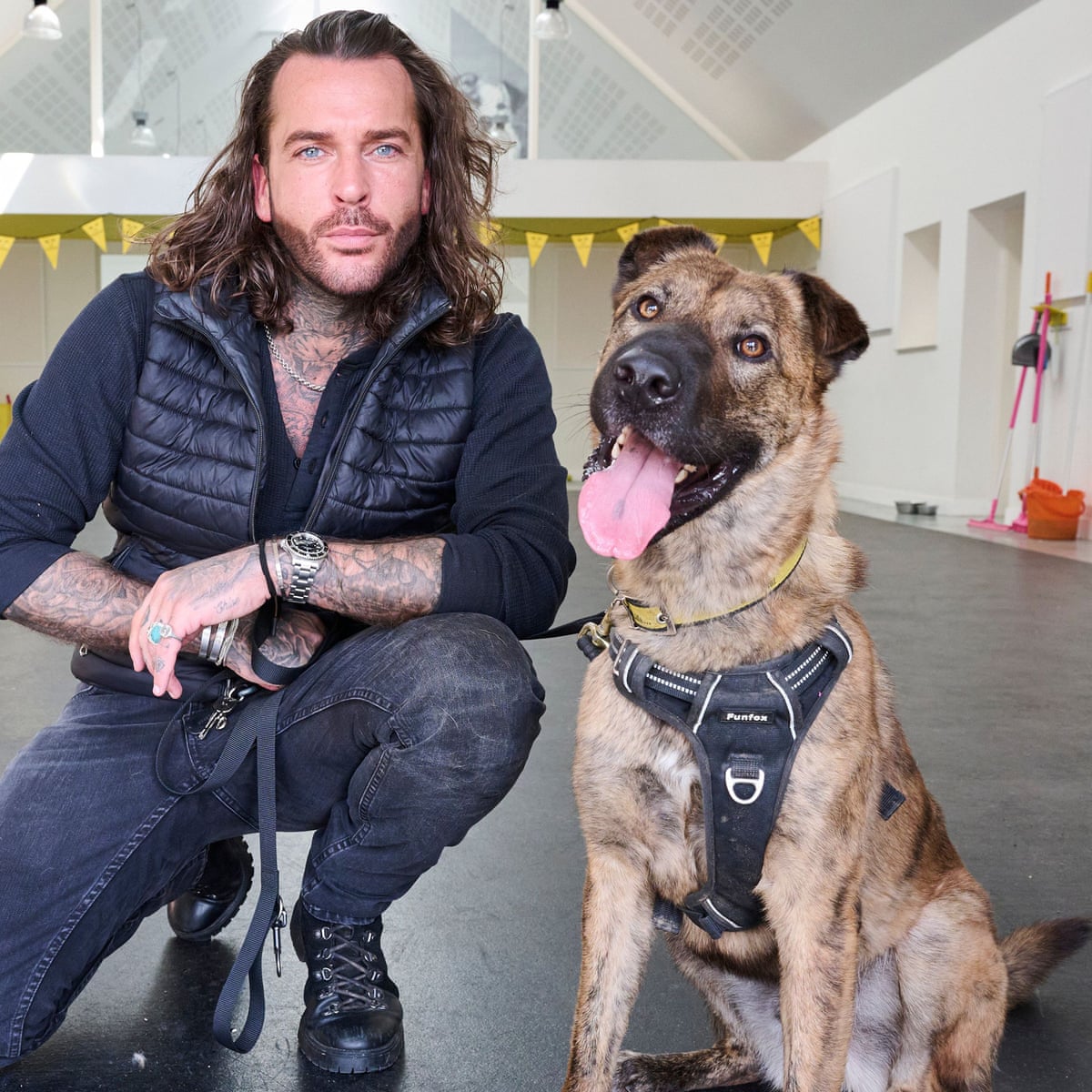 TV tonight: a heart-tugging new series inside a dog rehoming centre | Television | The Guardian