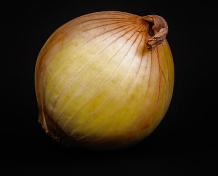 An onion.  Unlike shallots, an onion grows as a single bulb.