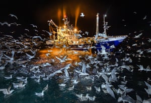 A fishing vessel at night surrounded by gulls