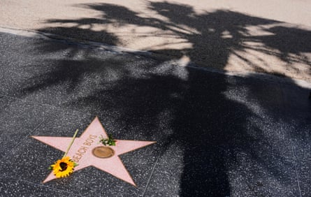 A sunflower lies on the Beach Boys’ star on the Hollywood Walk of Fame
