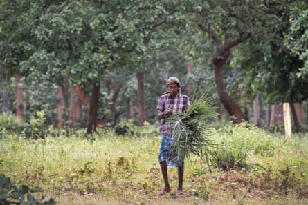 Laksmi Shankar Porte collects grass from the Hasdeo Arand forest for making ropes, brooms and mats.