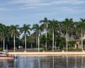 Boat in water in front of palm trees