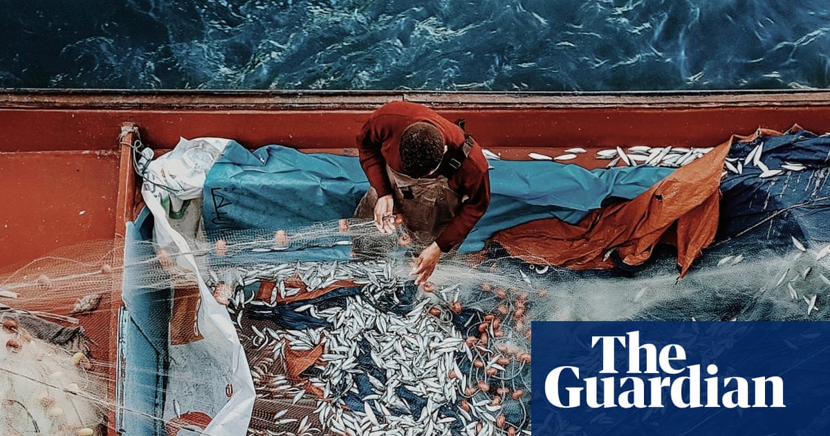 I climbed a building to get this shot of Egyptian fishermen with sardines': Ahmad Mansour's best phone picture