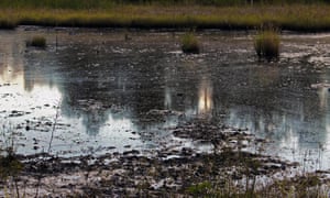 One of the contaminated areas in the Pacaya Samiria National Reserve in Peru’s Amazon which Pluspetrol committed to clearing up.