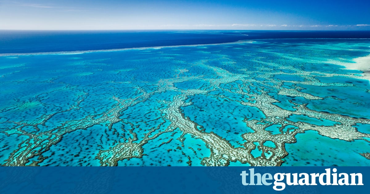 an overview of the great barrier reef in australia Dreaming of a great barrier reef vacation goway has been customizing australia vacations for 48 years and has the expertise and experience needed to turn your travel dreams into reality get a free trip quote and book one of our great barrier reef tours today let's go globetrotting. an overview of the great barrier reef in australia Dreaming of a great barrier reef vacation goway has been customizing australia vacations for 48 years and has the expertise and experience needed to turn your travel dreams into reality get a free trip quote and book one of our great barrier reef tours today let's go globetrotting.