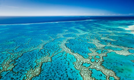 The Great Barrier Reef is suffering ‘serious decline in endangered species and threats from development’.