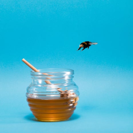 Bee and pot of honey