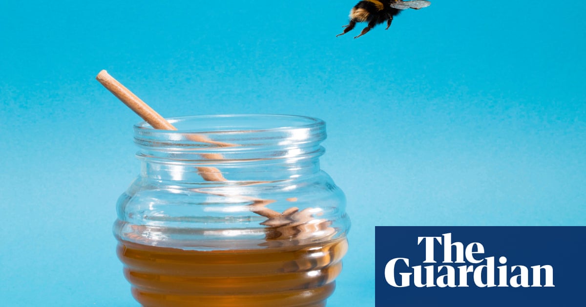 Animal Jam Codes For Free Membership Forever 2019 Animal Jam Codes For Free Membership Forever 2019 -