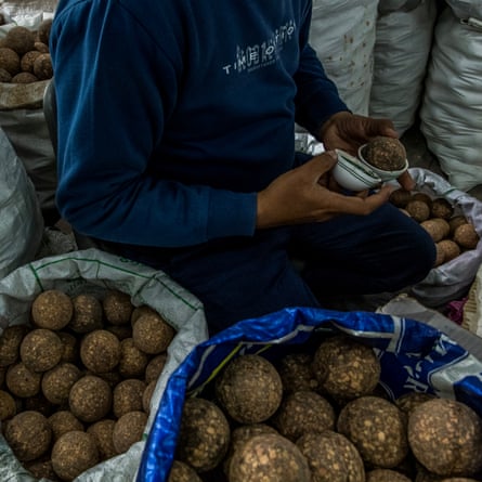 At the factory of Sanspareils Greenlands, India’s largest manufacturer and exporter of cricket products, in Meerut, Uttar Pradesh, a worker checks the cork spheres that are the heart of cricket balls. Dense and elastic, cork ensures the best possible combination of bounce and durability, two essential qualities of cricket balls.