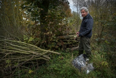 Coppicing trees exposes them to extra sunlight which means they grow up to 30% faster, Wolfe estimates.
