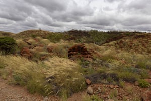 Spinifex scrub over rocky terrain