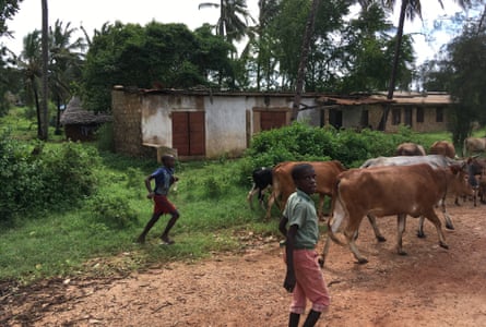 Boys in a rural area of Kenya