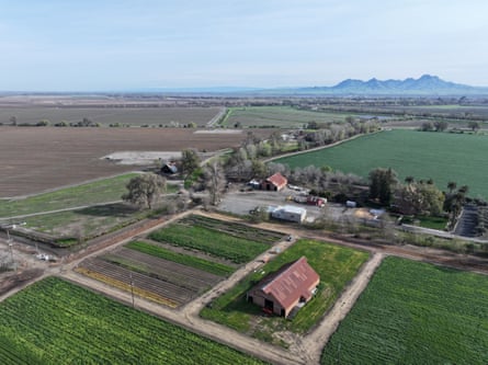 A farm surrounded by cropland with a mountain in the background.