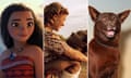 A composite of Moana, Rosamund Pike and David Oyelowo in A United Kingdom, and Phoenix from Red Dog: True Blue