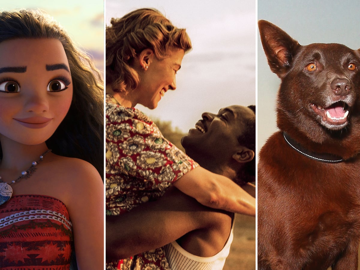 Boxing Day Films In Australia Our Pick Of The Festive Releases Film The Guardian