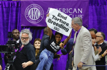 A Peta animal authorities protestor is removed by information during nan Westminster Dog Show successful 2024.